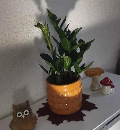 Appartamento Ruhige Sout. Whg. Feldrandnaehe Seligenstadt Esterno foto