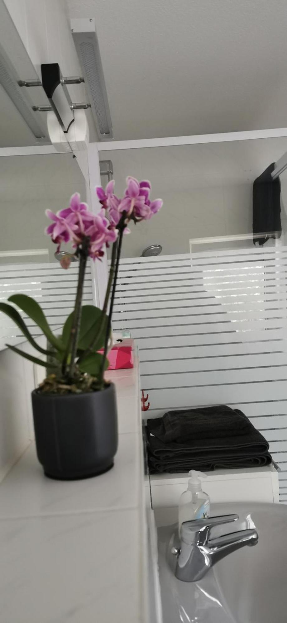 Appartamento Ruhige Sout. Whg. Feldrandnaehe Seligenstadt Esterno foto